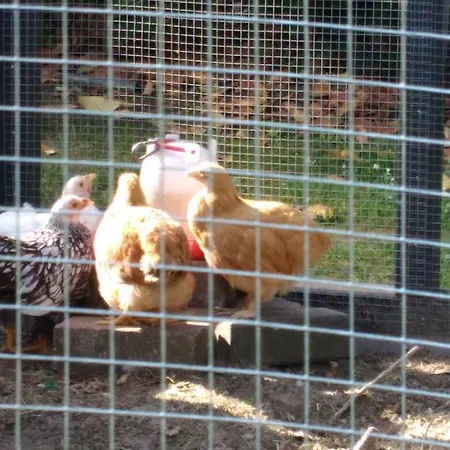 恩安德住宿加早餐旅馆 3*